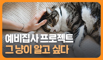 교육과정사진