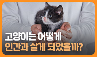 교육과정사진