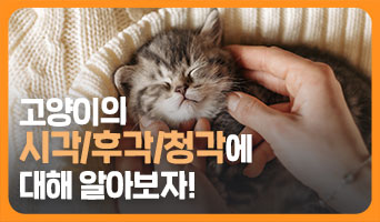 교육과정사진