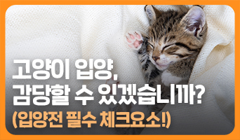 교육과정사진
