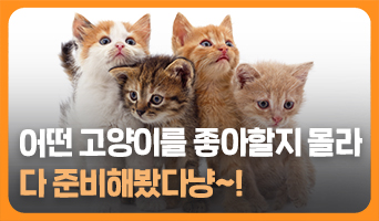 교육과정사진