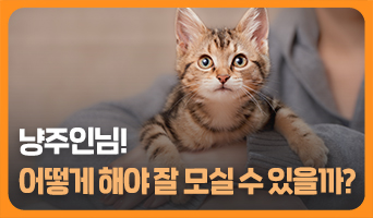 교육과정사진