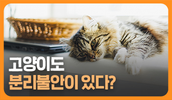 교육과정사진