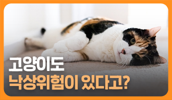 교육과정사진