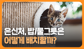 교육과정사진