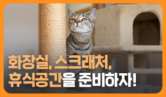 교육과정사진
