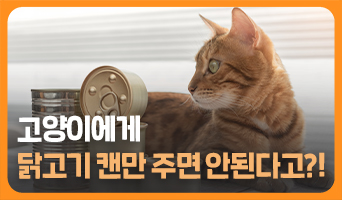 교육과정사진