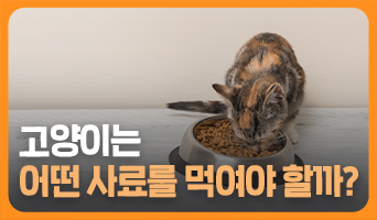 교육과정사진
