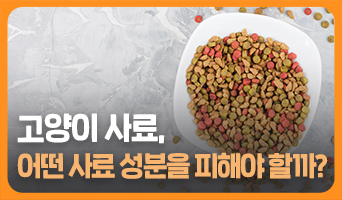 교육과정사진