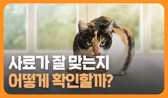 교육과정사진