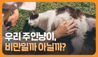 교육과정사진