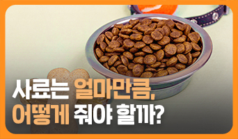 교육과정사진