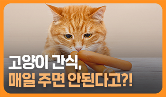 교육과정사진