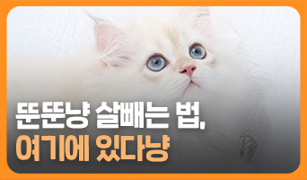 교육과정사진