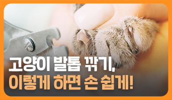 교육과정사진