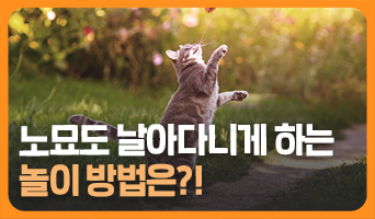 교육과정사진