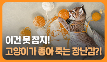 교육과정사진
