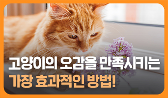 교육과정사진