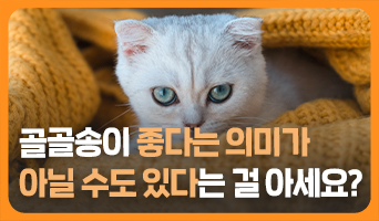 교육과정사진