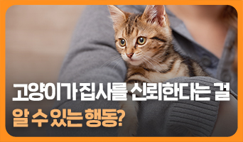 교육과정사진
