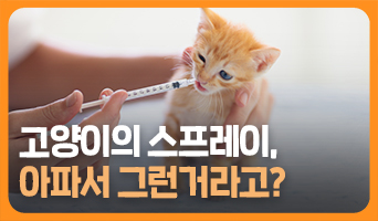 교육과정사진