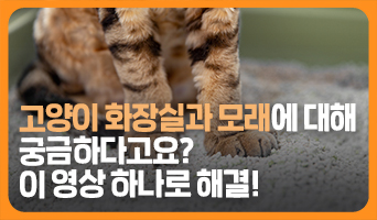 교육과정사진