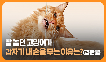 교육과정사진