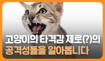 교육과정사진