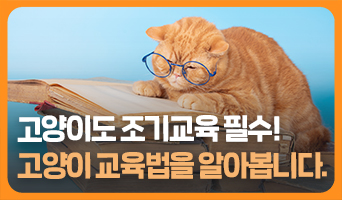 교육과정사진