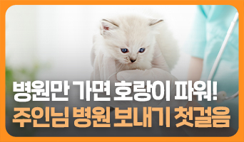 교육과정사진