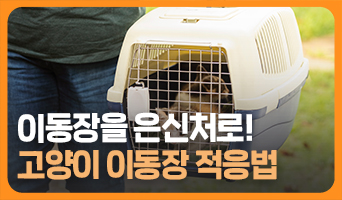 교육과정사진