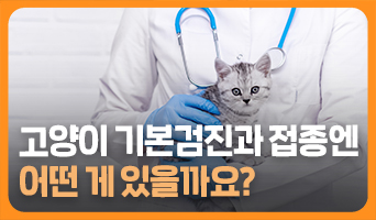 교육과정사진