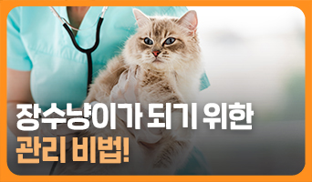 교육과정사진