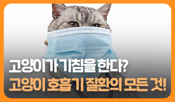 교육과정사진