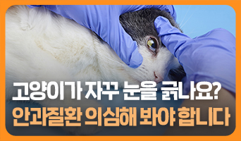 교육과정사진