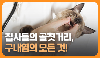 교육과정사진