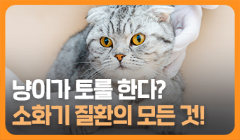 교육과정사진
