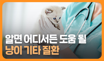 교육과정사진