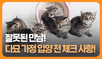 교육과정사진