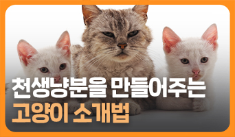 교육과정사진
