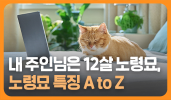 교육과정사진