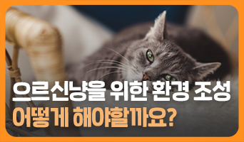 교육과정사진