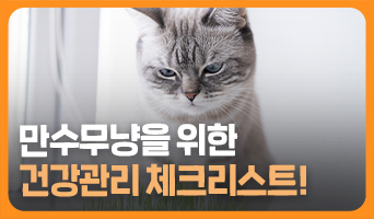 교육과정사진