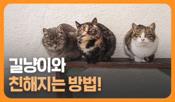 교육과정사진