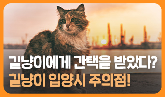 교육과정사진