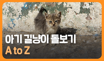 교육과정사진