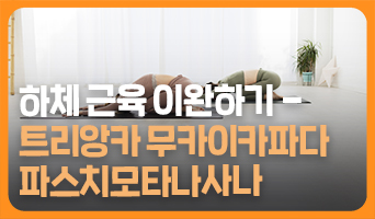 교육과정사진
