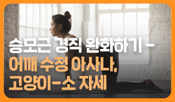 교육과정사진
