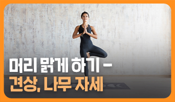 교육과정사진