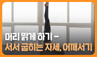 교육과정사진